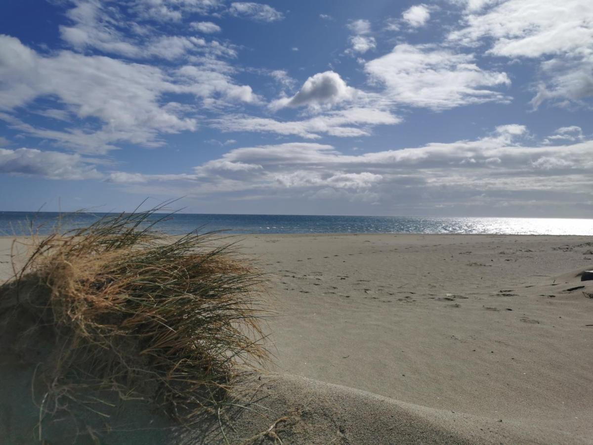 Cap De Mer - Vue Sur Mer - Une Chambre - Une Terrasse - Acces Direct Plage - Commerces A Proximites Le Barcares Bagian luar foto