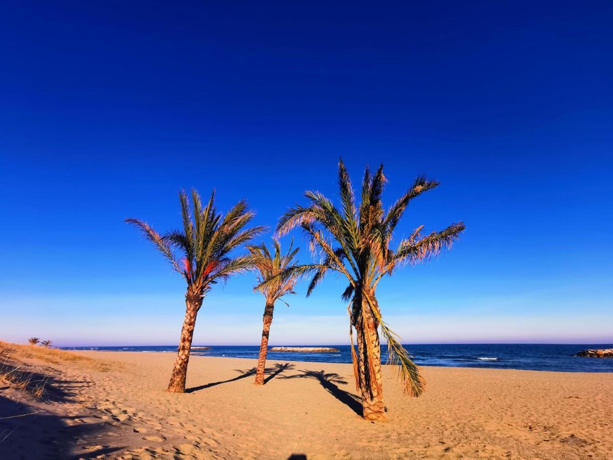 Cap De Mer - Vue Sur Mer - Une Chambre - Une Terrasse - Acces Direct Plage - Commerces A Proximites Le Barcares Bagian luar foto